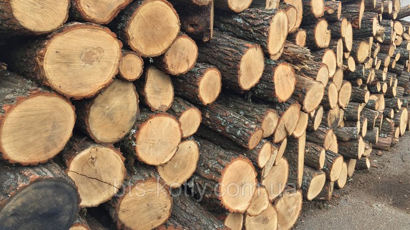 Де та за скільки на Волині можна придбати паливні дрова
