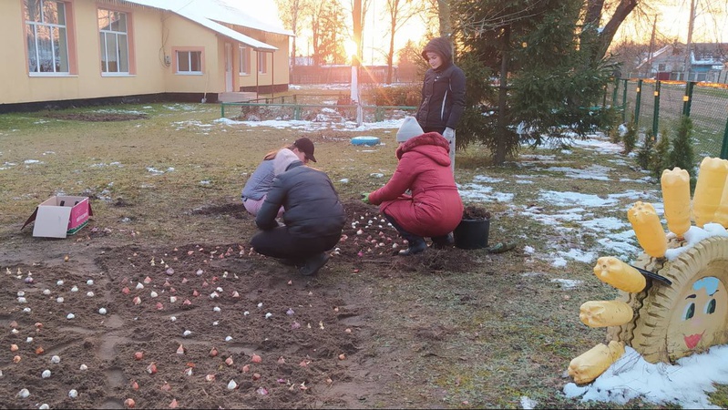 Маленька казка на подвір’ї: біля школи на Волині висадили 500 цибулин різних квітів