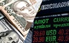 НБУ ввів заборону обмінникам показувати курс валют, щоб уникнути спекуляцій, — Ольга Лобайчук
