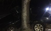 Злетів з дороги і врізався у дерево: в поліції розповіли деталі автотрощі на Волині