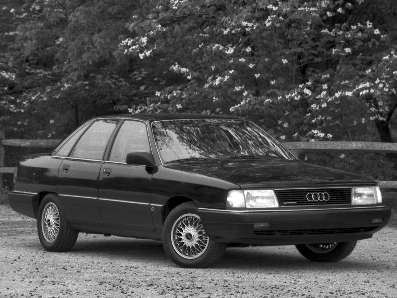 Ауди 100 кватро. Ауди 100 44 quattro. Ауди 100 с3 седан. Ауди а 100 седан кватро.