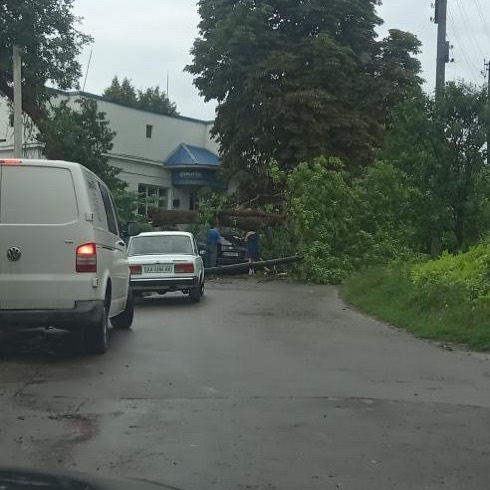 Ще одне дерево впало на автівку на автівку поблизу 1-ї школи.