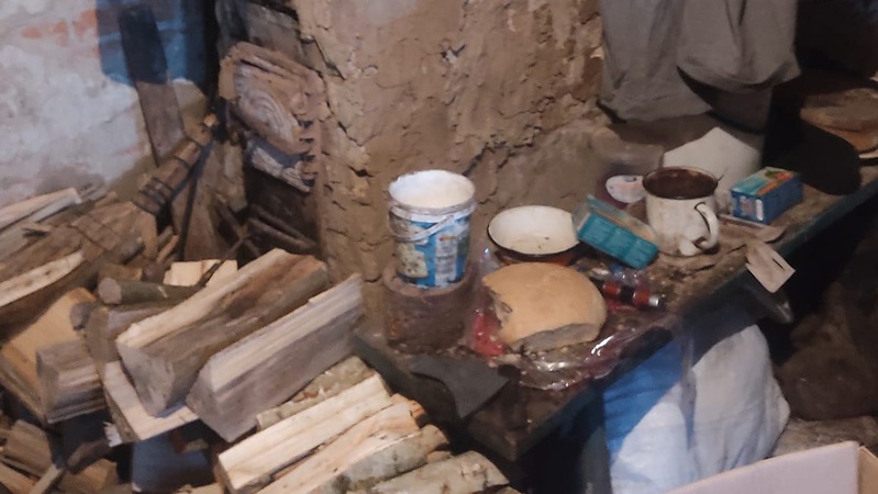 «Працюють за кусень хліба»: волонтерка показала двох бідних братів, які живуть у волинській глибинці. ФОТО