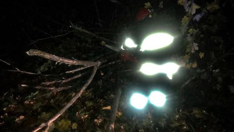 Вночі луцькі рятувальники звільнили дорогу від поваленого вітром дерева