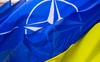 Єдиний реальний захист, який Україна може отримати, — це вступ до НАТО, — Агія Загребельська