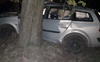 На Волині водій врізався у дерево: є постраждалі
