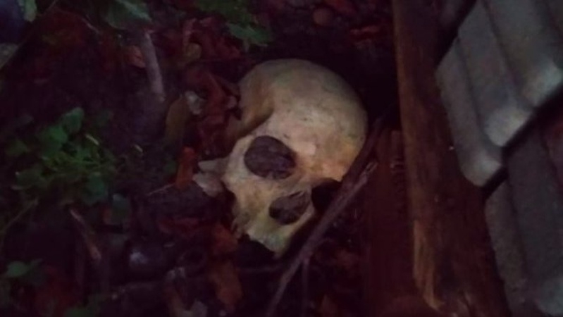 У центрі Луцька знайшли людський череп