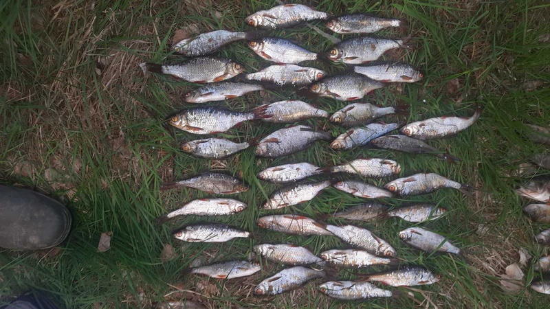 Збитків на понад 200 тисяч: на Волині браконьєр сітками ловив рибу у заказнику