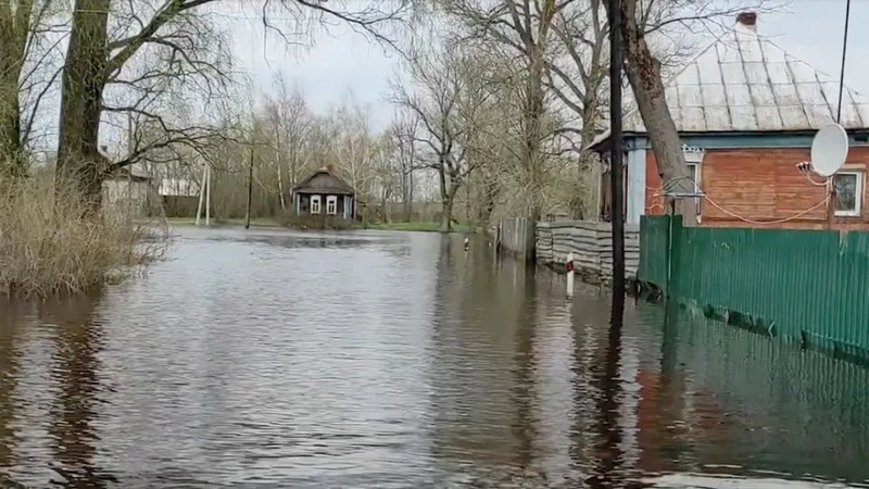 Підвищується рівень води в річці Прип’ять: на Волині можливі нові підтоплення