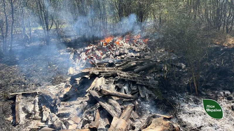 Лісівники локалізували , що виникла через безвідповідальний підпал сміття