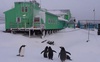 54 тисячі гривень зарплати в місяць: шукають кандидатів для роботи на антарктичній станції