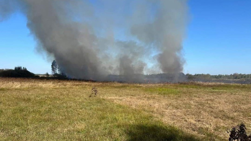 На Волині рятувальники ліквідували пожежу сухостою