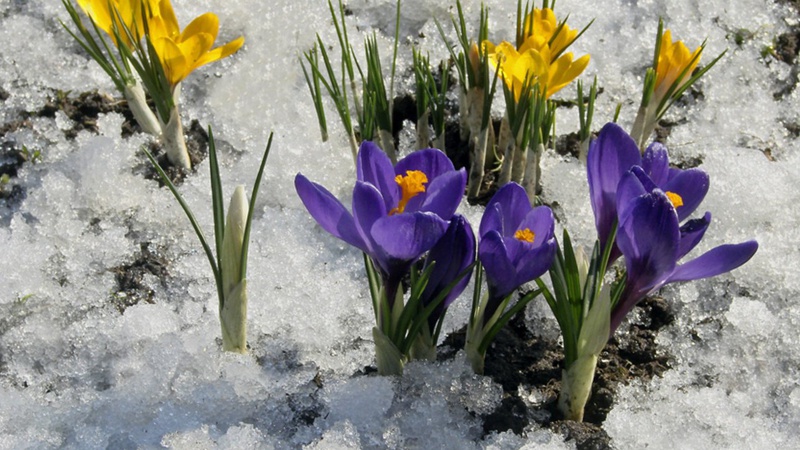 Наприкінці березня Україну засипле снігом, - синоптик