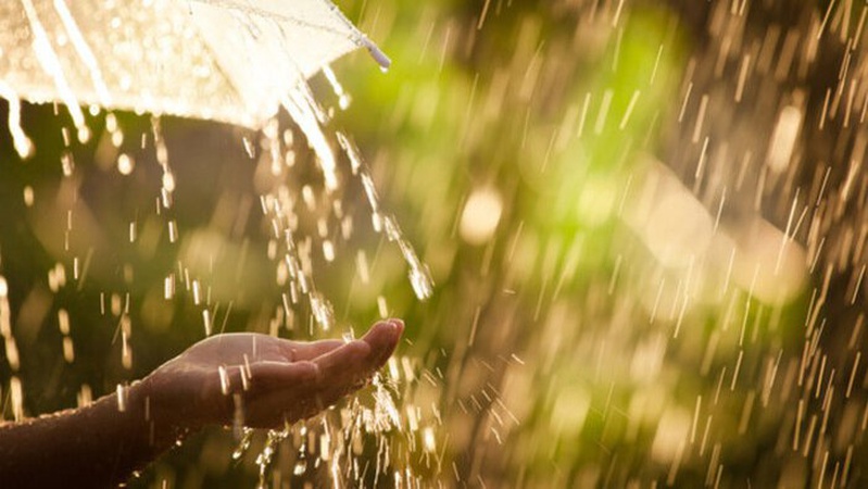 Спека, місцями дощі з грозами: прогноз погоди на 1 серпня