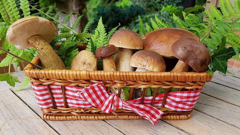 В Україні хочуть заборонити продавати гриби «з рук»