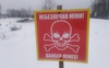 Волинян закликають не ходити в ліс за ялинкою поблизу кордону з Білоруссю
