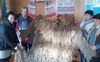 У волинському ліцеї діти та вчителі плетуть «кікімори» для військових ЗСУ