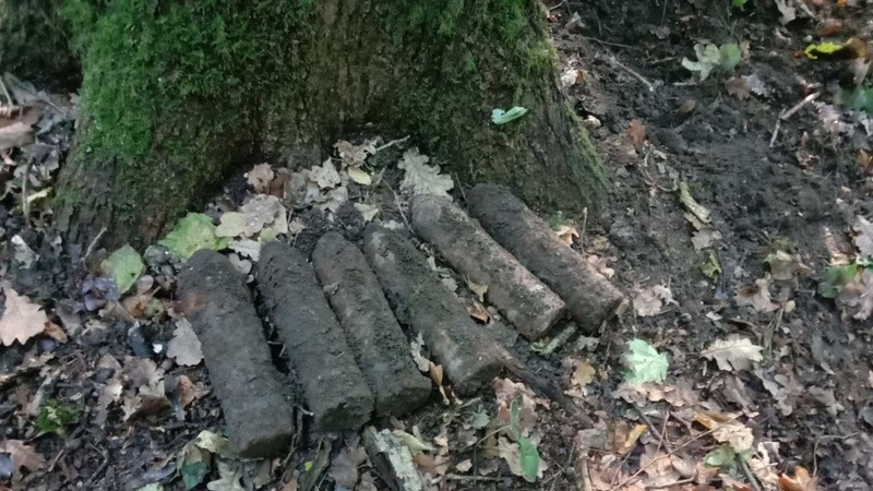 Волинянин у лісі знайшов 6 артилерійських снарядів часів минулої доби