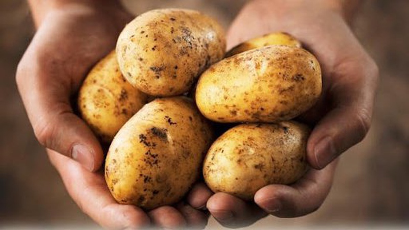 У Луцьку відвідувачам ресторану подали картоплю із землею