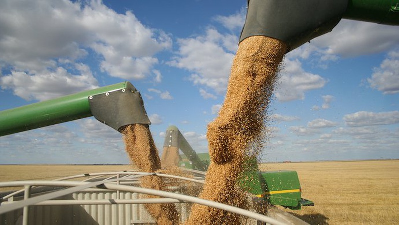 Українські аграрії б’ють на сполох: додаткові правила можуть призвести до зупинки експорту зерна