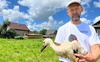 Вперше в Україні: за лелеками з Волині стежитимуть через супутник