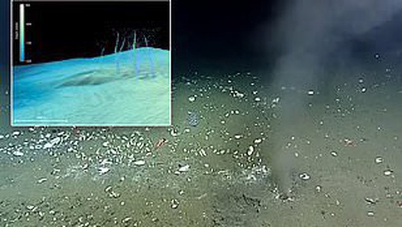 Вчені попереджають про мегаземлетрус – його спровокує 965-кілометрова тріщина в Тихому океані