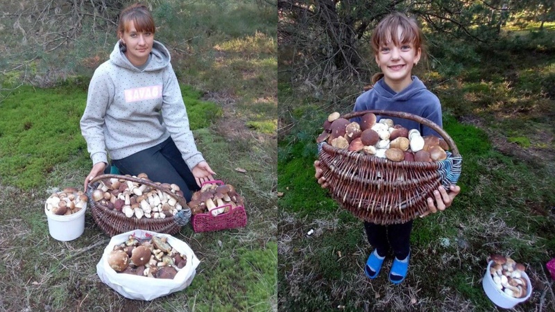Тихе полювання на Волині: жінка розповіла, де назбирала понад 300 білих грибів