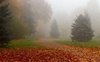 Синоптики спрогнозували погоду на Волині у середу, 10 листопада
