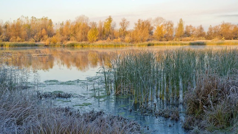 Коли в Україні випаде сніг