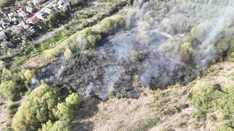 Сьогодні у Луцьку горіло Гнідавське болото: рятувальники ліквідували пожежу
