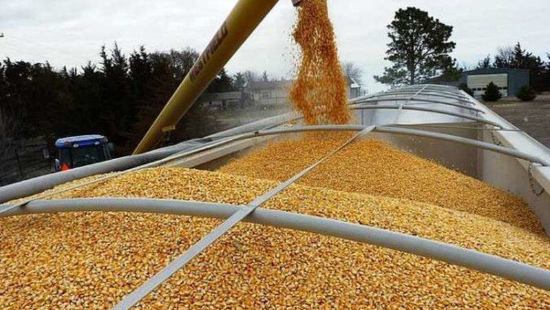 З Волині до Харкова відправлять 2 тисячі тонн зерна