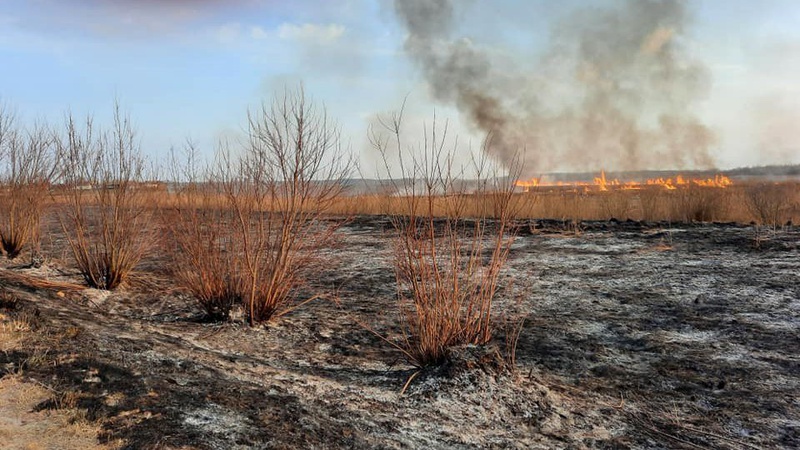 На Турійщині невідомі підпалили суху траву