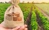 Волинські аграрії вже отримали понад 3 мільярди гривень доступних кредитів