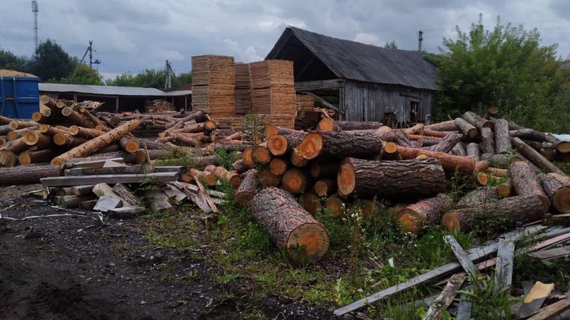 На Ковельщині вилучили понад 700 колод сосен