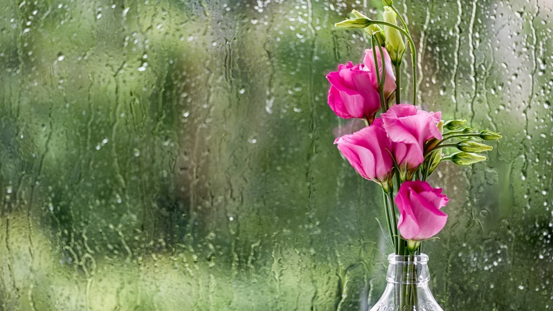 Короткочасні дощі, подекуди з грозами: погода на 31 травня