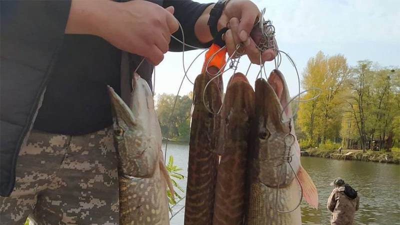 В Україні затвердили нові штрафи за незаконну риболовлю