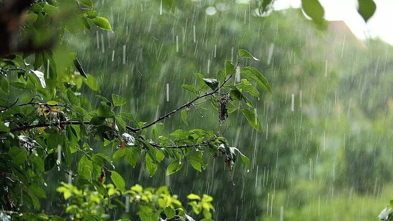 Подекуди короткочасні дощі та грози: прогноз погоди на 25 травня