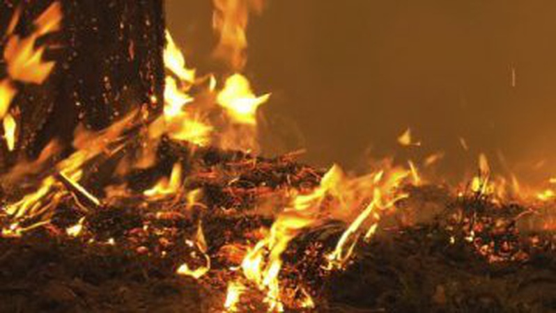За тиждень на Волині сталося 24 пожежі: є загиблі