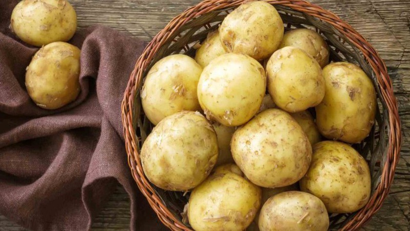 В Україні розпочався сезон молодої картоплі: скільки коштує кілограм