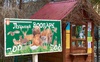 У Луцькому зоопарку влаштують свято гарбуза