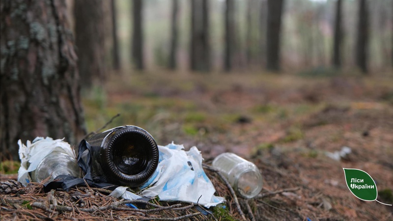 У лісах на Волині виявили 302 сміттєзвалища
