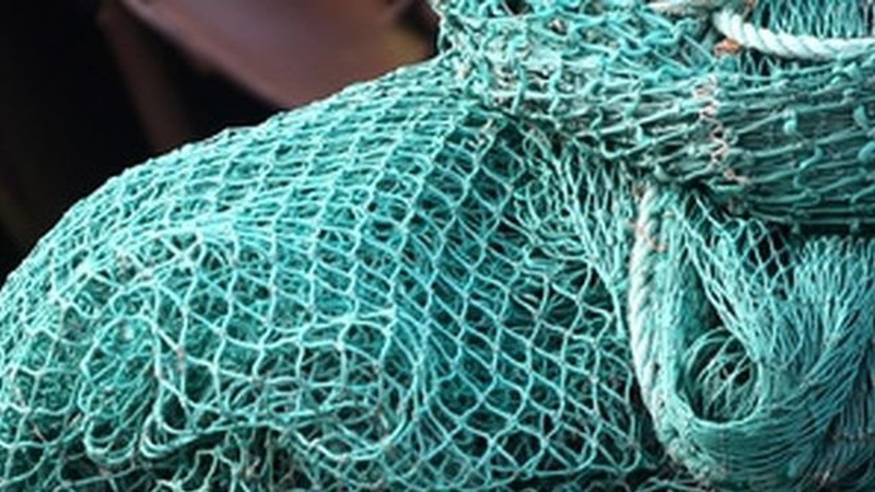 Риби не зловив – гроші заплатив: волинянина оштрафували за ловлю риби сіткою