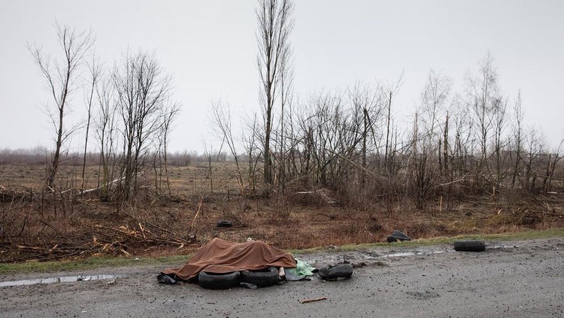 Недалеко від Києва на дорозі виявили мертві тіла оголених жінок під ковдрою
