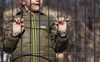 Червоний Хрест Білорусі визнав, що краде дітей з України