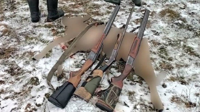У Луцькому районі чоловіка, який застрелив козулю, оштрафували на 32 тисячі гривень