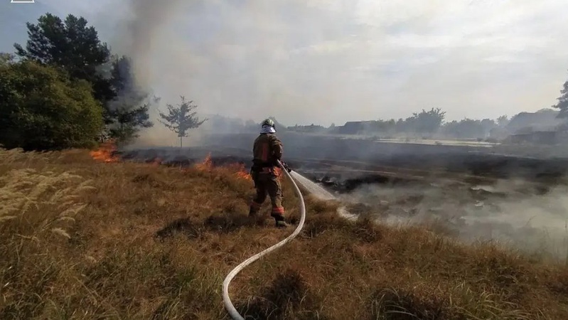 На Волині сталася ще одна пожежа сухої рослинності. ФОТО