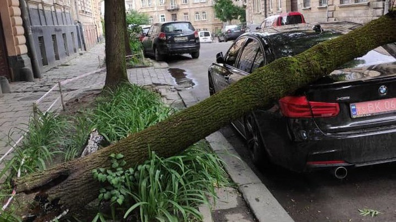 Упало дерево на автомобіль – хто винен і що робити?*