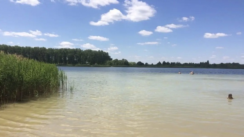 Повідомили у яких водоймах на Волині небезпечно відпочивати