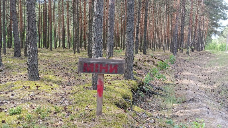 Як заборона відвідувати ліс діє в одній з громад на Волині. ВІДЕО