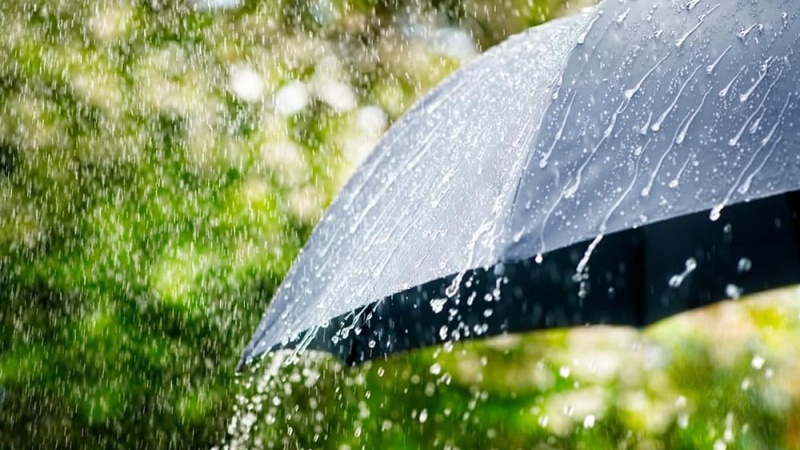 Дощі, подекуди грози: прогноз погоди на 24 квітня